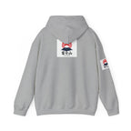 Mt.Fuji Japan Designs Graphic Logo Hoodie — Japanese Rising Sun Streetwear