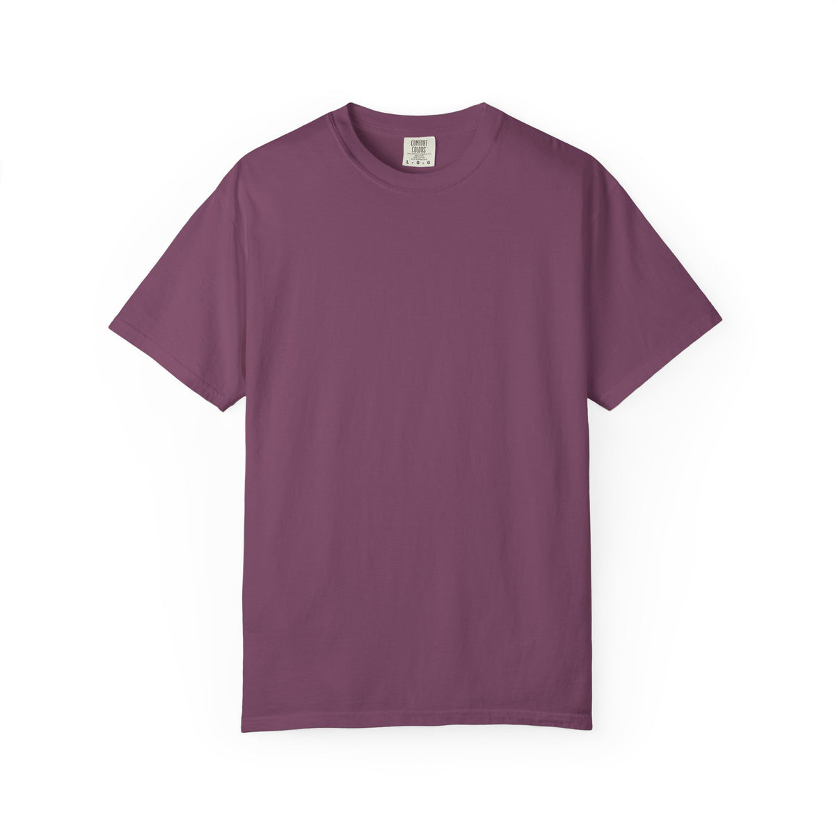 Fujisan Cherry Blossom T-Shirt