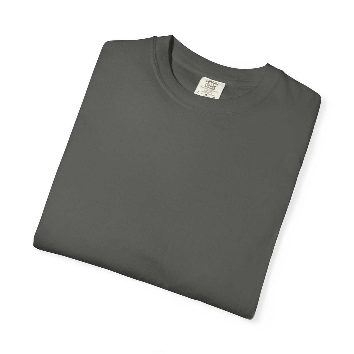 Fujisan Cherry Blossom T-Shirt