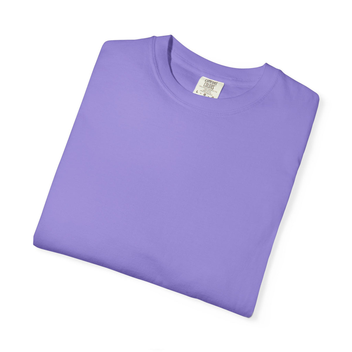 Fujisan Cherry Blossom T-Shirt